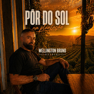 Pôr do sol na plantação