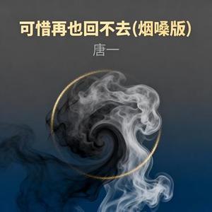 可惜再也回不去