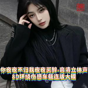 DJ国飞-你夜夜不归我夜夜买醉-高清立体声8D环绕伤感车载连版大碟（DJ国飞 remix）