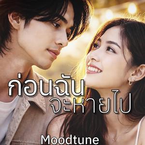 ก่อนฉันจะหายไป