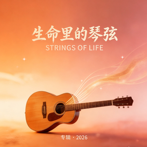 生命里的琴弦