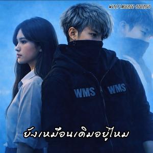 ยังเหมือนเดิมอยู่ไหม