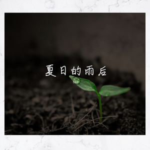 夏日的雨后