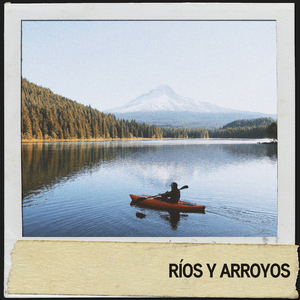 Calm Distant Rain on the Jungle