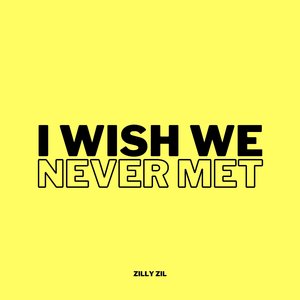 I Wish We Never Met TikTok