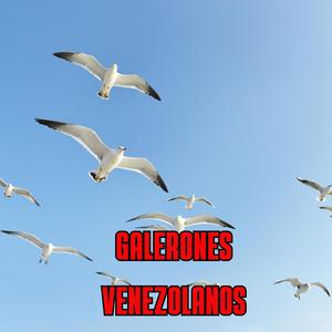 Noche de galeron (En vivo)