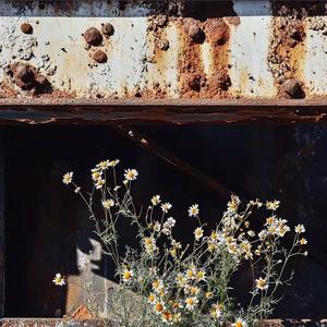 想带你去看晴空万里