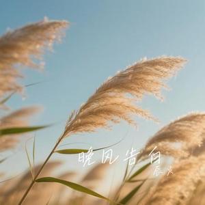 晚风告白 (Cover 星野)