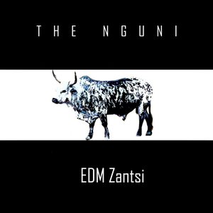 The Nguni