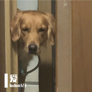 戒指另一端的永伴恋人