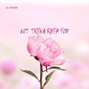 Not Tryna Rush You
