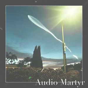 Ashes under the moonlight