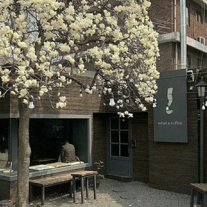 Flower（干净女生版）