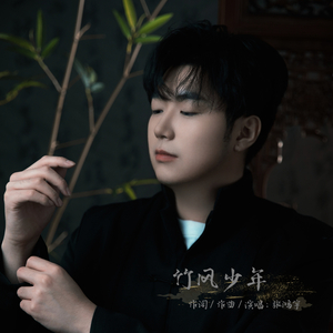 竹风少年