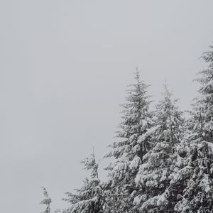 为你唱首歌-女生版