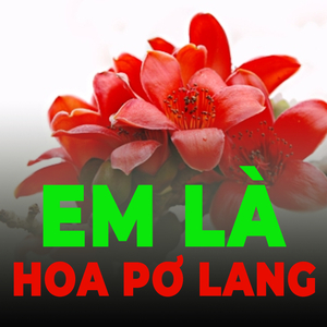 Dấu chân trên rừng