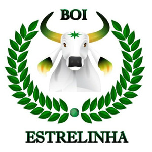 Defensor da Floresta (Ao Vivo)