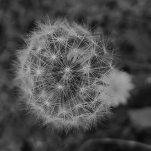 我没开口（Prod EVOMUSIC）