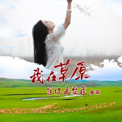 我在草原等你来娶我 (DJ大金伴奏版)