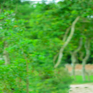 আল্লাহর কোন বান্দা যখন তওবা করে তখন আল্লাহ বলে সাত আসমান সাত জমিন সাজিয়ে দাও