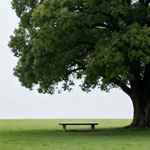 八月盛夏的恋爱