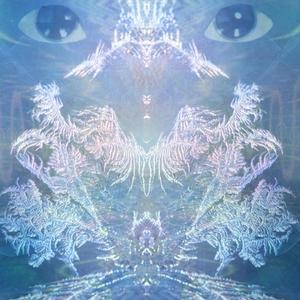 ｓｐｅｃｔｒａｌ ｔｒａｖｅｌｌｅｒ