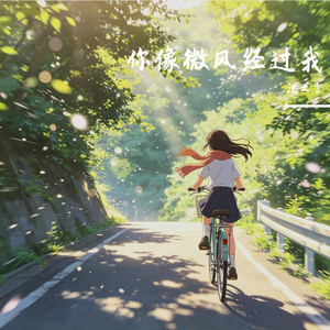 你像微风经过我