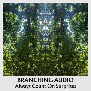 Always Count On Surprises