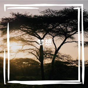 《梦想的翅膀》