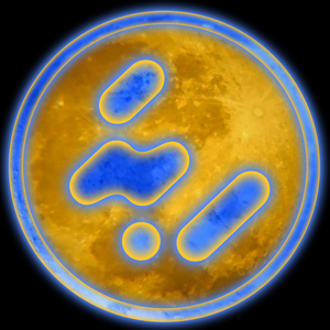 Stepping Back (Original Mix)