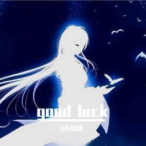 Good luck（DJHAIOU remix）