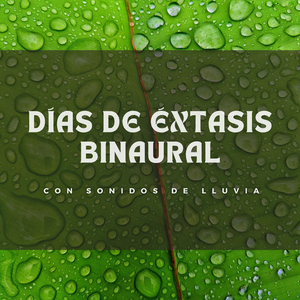 Llovizna En El Oasis Zen