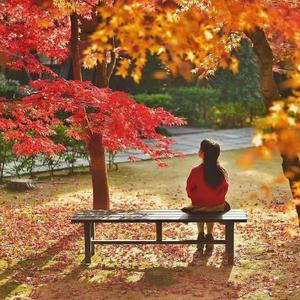 2021没有秋天（cover：前男友）