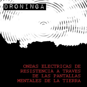 Carrozas de flores sobre lagunas y canales