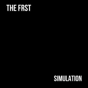 Simulation