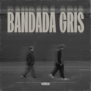 Bandada Gris