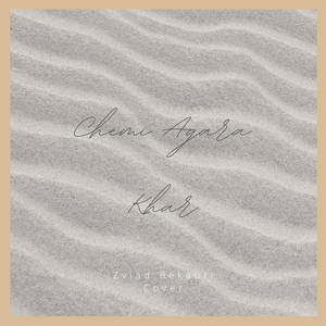 Chemi Agara Khar (Zviad Bekauri Remix)