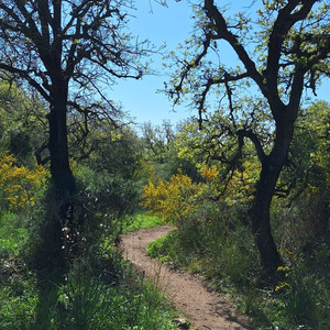 להיות בתנועה (Freestyle)