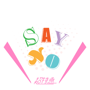 SAY NO