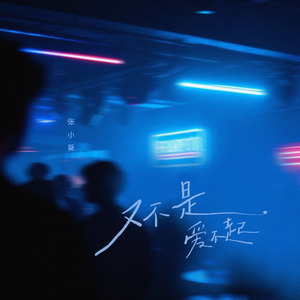 又不是爱不起