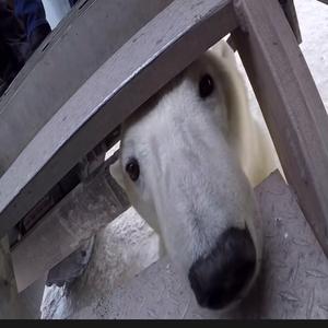 black on me devotional (feat. delcada)