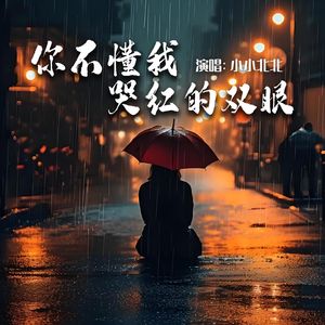 你不懂我哭红的双眼