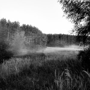 Why does It Hurt To Say Goodbye