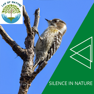 Enjoyable Spring Rain