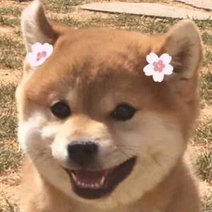 甜甜咸咸（无后期浴室版）（翻自 赵芷彤）