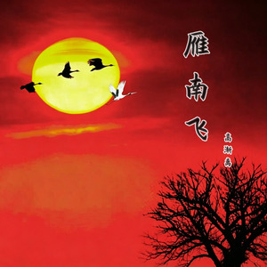雁南飞