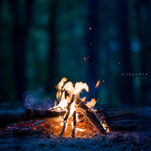 한 겨울밤의 꿈처럼