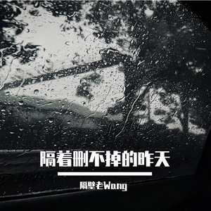 隔着删不掉的昨天