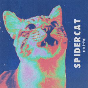 SPIDERCAT