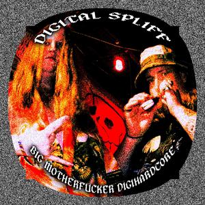 Digial Spliff (Skit)